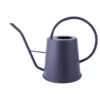 Giesskanne 2,0 Liter Metall