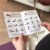 Massageset Kork - Image 6