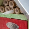 Insektenhotel Kiefernholz & Bambus Klein - Image 4