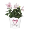 Blumentopf With Love – Bild 2
