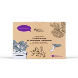 Pilz-Aufzuchtset Austernseitling Geschenkset
