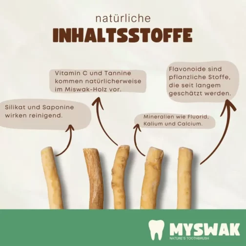 Miswak Zahnputzholz 6 Stk - Image 4