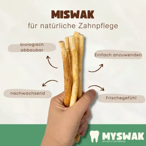 Miswak Zahnputzholz 6 Stk - Image 3