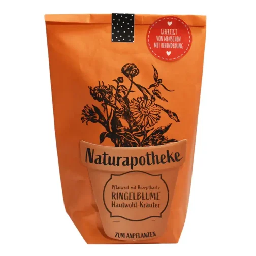 DIY Naturapotheke Ringelblume - Image 2
