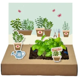 Mini Garten – Küchenkräuter