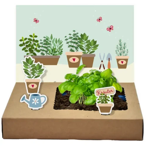 Mini Garten - Küchenkräuter – Bild 2