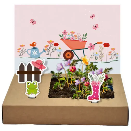 Mini Garten - Blütenpracht zum Geburtstag – Bild 2