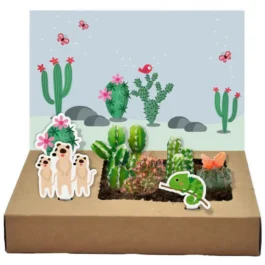 Mini Garten – Kakteen