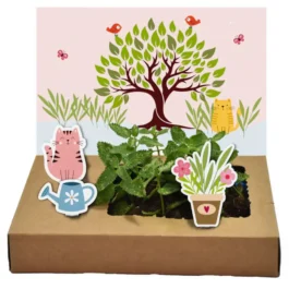 Mini Garten – Katzenminze