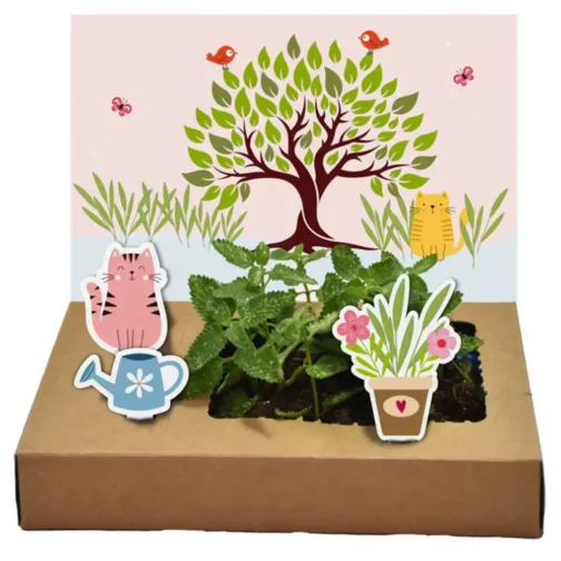 Mini Garten - Katzenminze – Bild 2