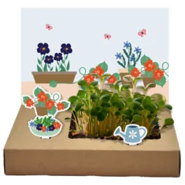 Mini Garten – Essbare Blüten