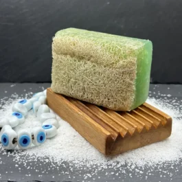 AYRA Seife mit Schwamm Aloe Vera