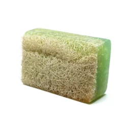 AYRA Seife mit Schwamm Aloe Vera