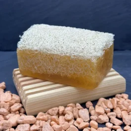 AYRA Seife mit Schwamm Mango