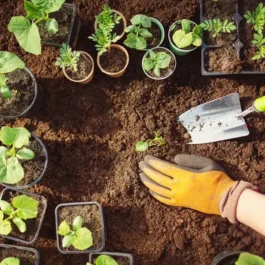 Lava-Steinmehl 1.5 kg