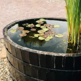 Mollex® TigermückenStopp