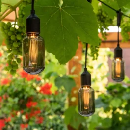 LED Solar Lichterkette Edison, 2,7 m